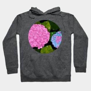 Hydrangeas Hoodie